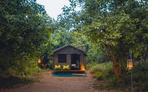Pafuri Walking Trails