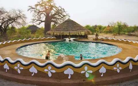 Planet Baobab