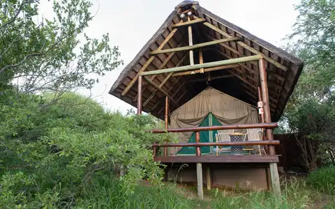 Sausage Tree Safari Camp