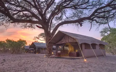 &Beyond Savute Under Canvas