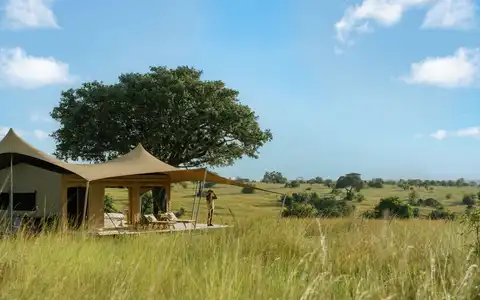 Serengeti Bushtops Camp
