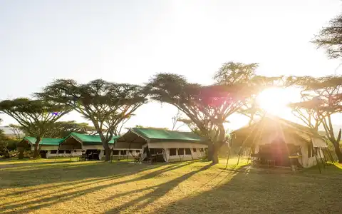 Serengeti Migration Camp