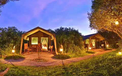 Shamwari Explorer Camp