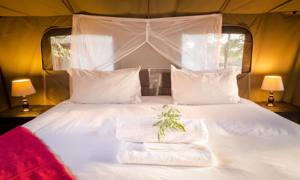 Shindzela Tented Camp - Timbavati Game Reserve | Rhino Africa