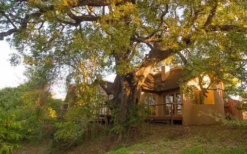 Shishangeni Lodge