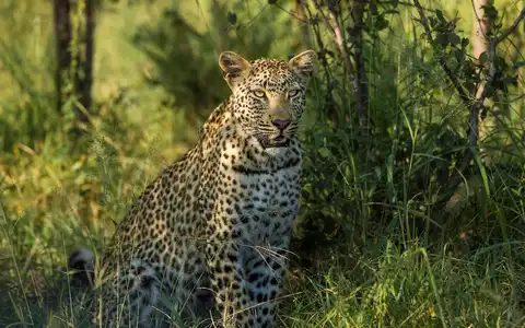 Cape to Coast: Cape, Kruger and Bazaruto Tour