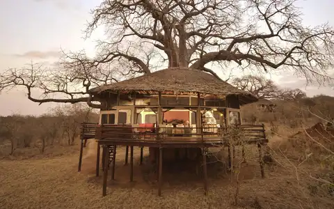 Tarangire Treetops