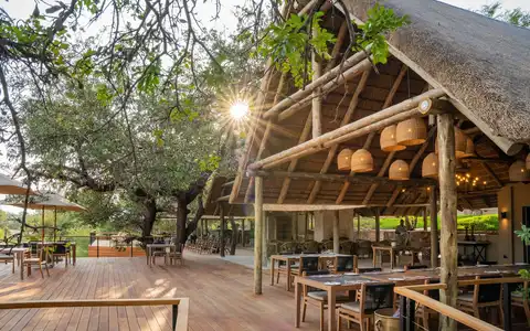 Thornybush Game Lodge