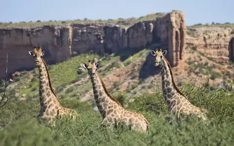 Ultimate Namibia: Self-Drive Safari Tour
